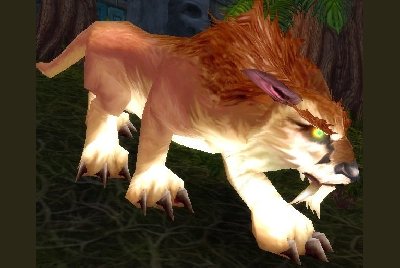 魔兽世界wlk猫在哪抓