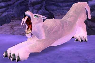 魔兽世界wlk猫在哪抓