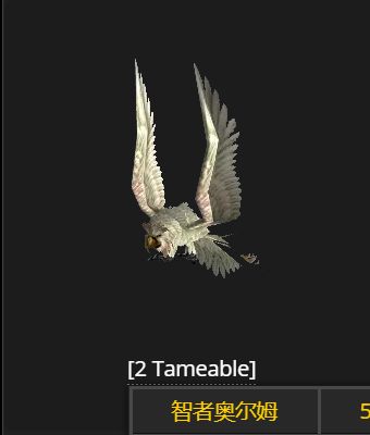 魔兽世界wlk猫头鹰哪里抓