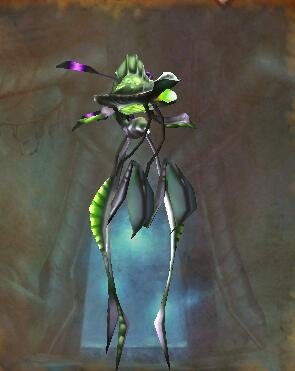 《魔兽世界》tbc幽暗沼泽攻略