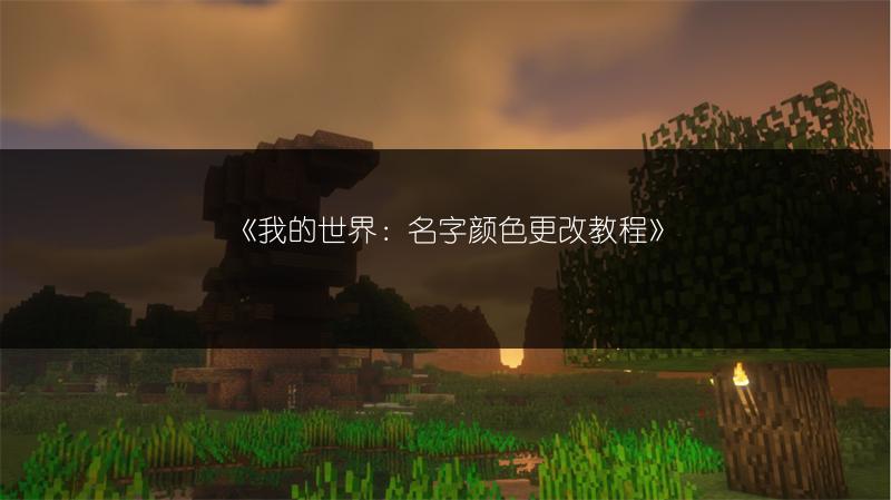 《我的世界：名字颜色更改教程》