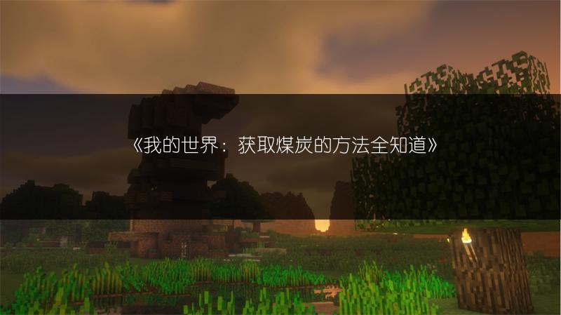 《我的世界手游》黑豹影流皮肤：特色与详情全解析