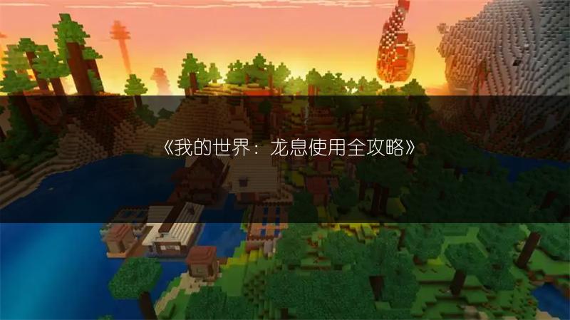《我的世界：龙息使用全攻略》