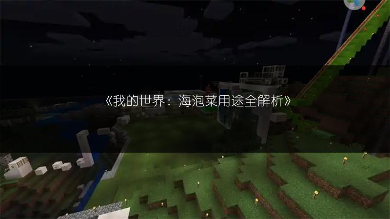 《我的世界：海泡菜用途全解析》