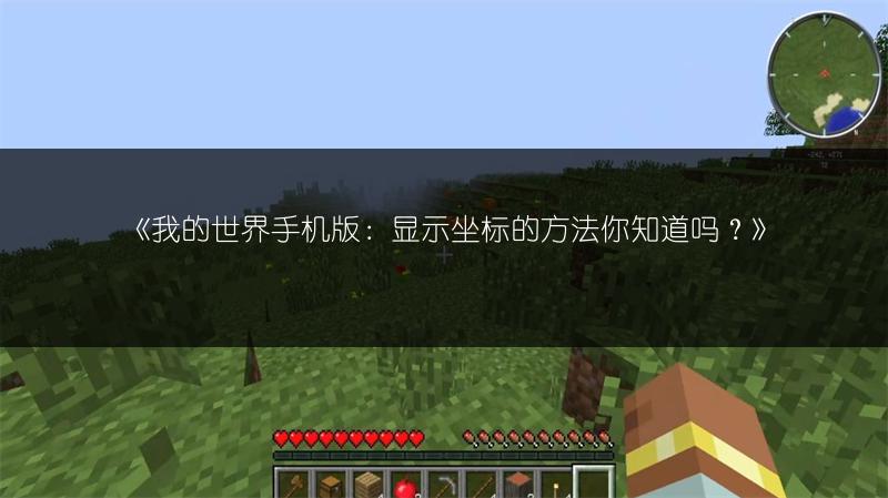 《我的世界手机版：显示坐标的方法你知道吗？》