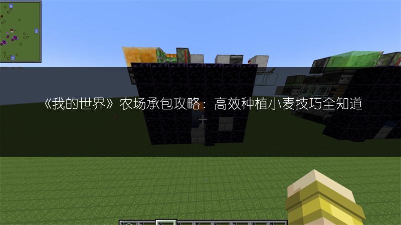 《我的世界》农场承包攻略：高效种植小麦技巧全知道