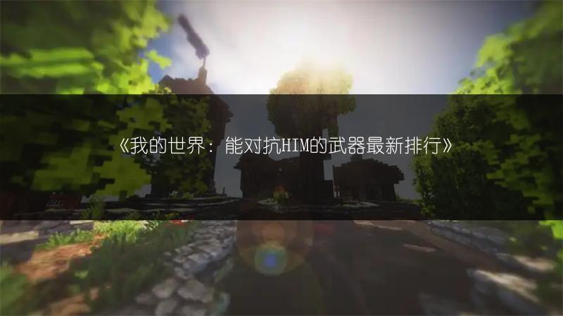 《我的世界：能对抗HIM的武器最新排行》