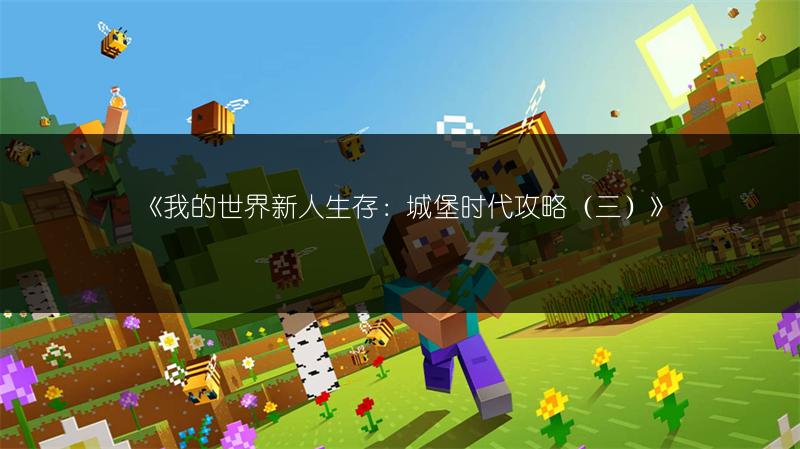 《我的世界新人生存：城堡时代攻略（三）》
