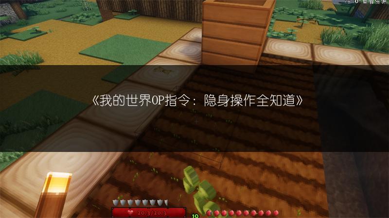 《我的世界OP指令：隐身操作全知道》