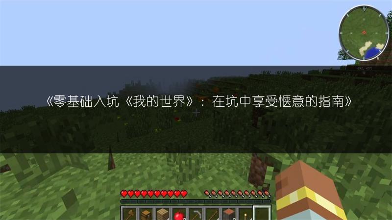 《零基础入坑《我的世界》：在坑中享受惬意的指南》