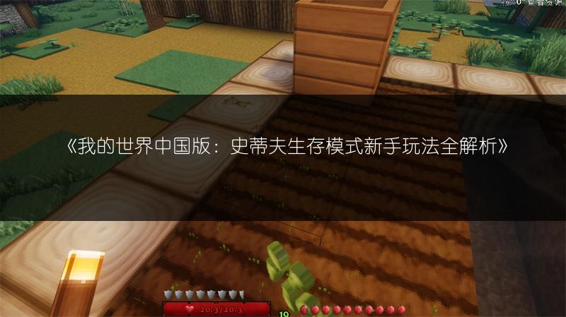 《我的世界中国版：史蒂夫生存模式新手玩法全解析》