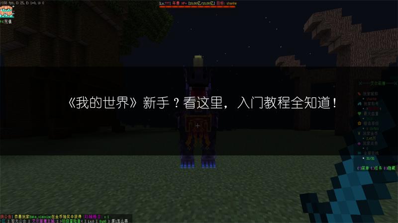 《我的世界》新手？看这里，入门教程全知道！