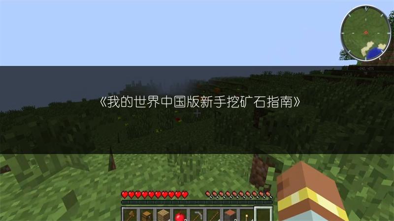 《我的世界中国版新手挖矿石指南》