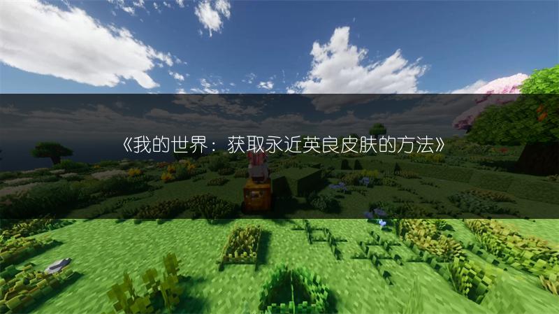 《我的世界：获取火拳艾斯皮肤的方法》