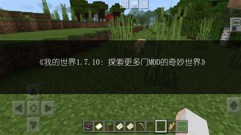 《我的世界1.7.10：探索更多门MOD的奇妙世界》