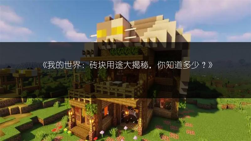 《我的世界：砖块用途大揭秘，你知道多少？》