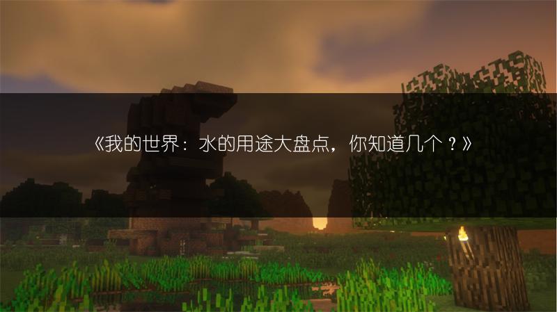 《我的世界：水的用途大盘点，你知道几个？》