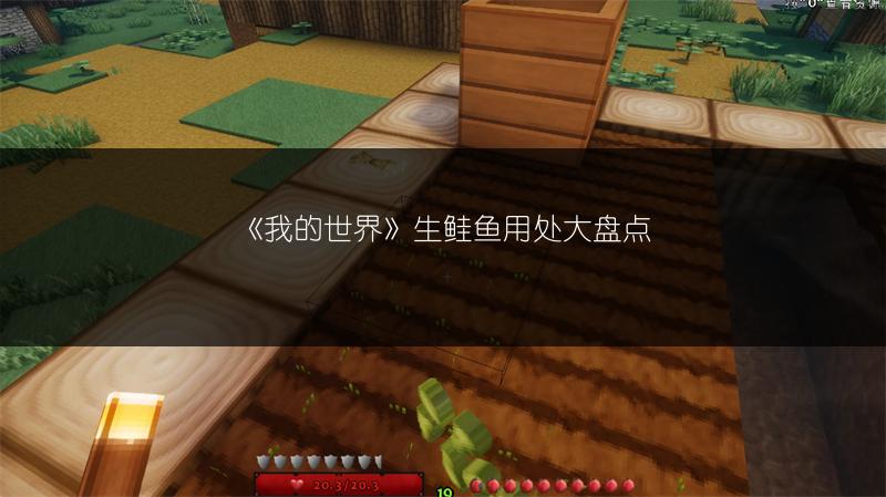 《我的世界》生鲑鱼用处大盘点