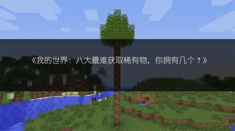 《我的世界：八大最难获取稀有物，你拥有几个？》
