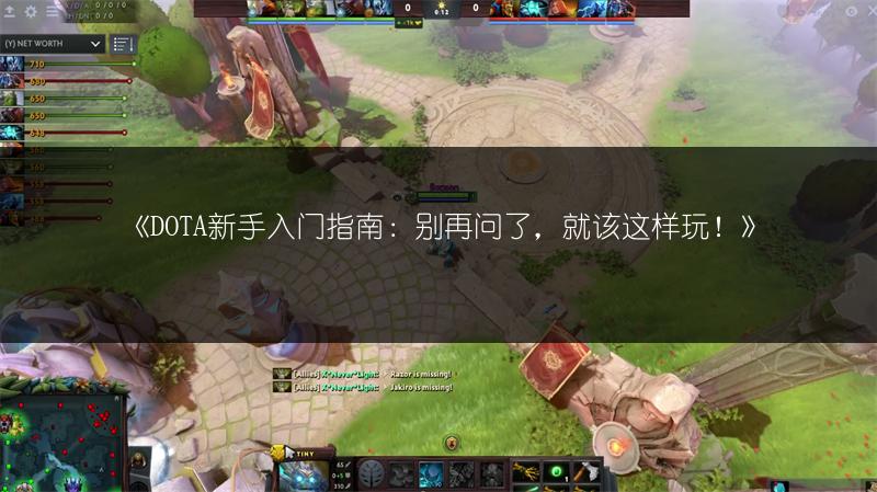 《DOTA新手入门指南：别再问了，就该这样玩！》