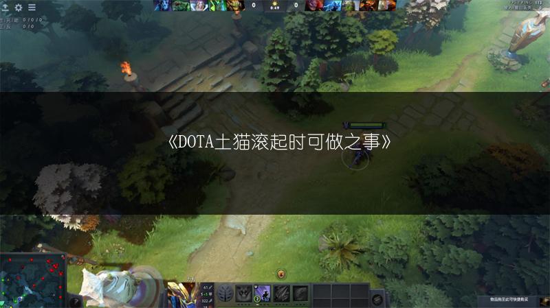 《DOTA土猫滚起时可做之事》