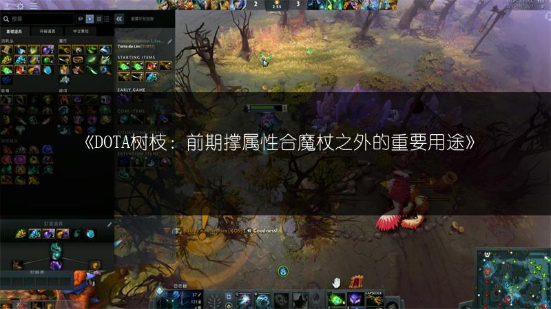 《DOTA树枝：前期撑属性合魔杖之外的重要用途》
