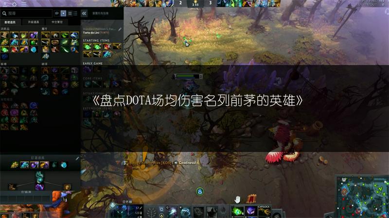 《盘点DOTA场均伤害名列前茅的英雄》