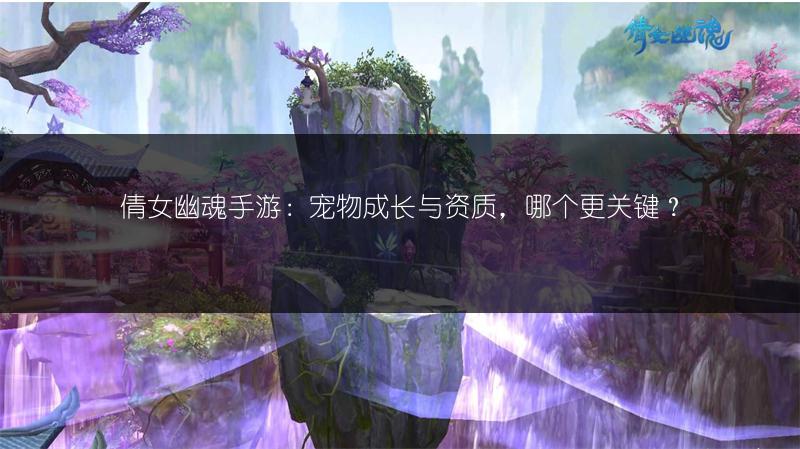 倩女幽魂手游：宠物成长与资质，哪个更关键？