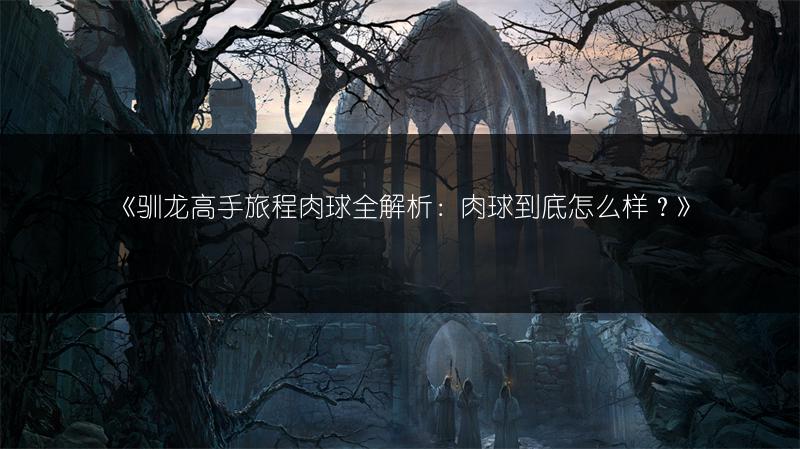 《驯龙高手旅程肉球全解析：肉球到底怎么样？》