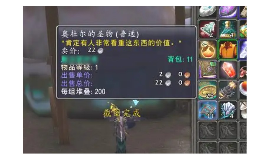 魔兽世界奥杜尔的圣物